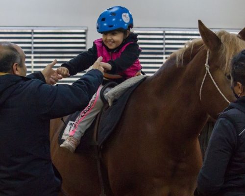 AB-Türkiye Delegasyon projesi olan Hippoterapi Türkiye Hizmet Vermeye Devam ediyor