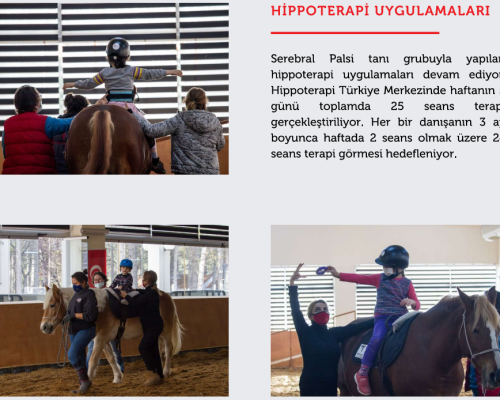 Hippoterapi Uygulamaları