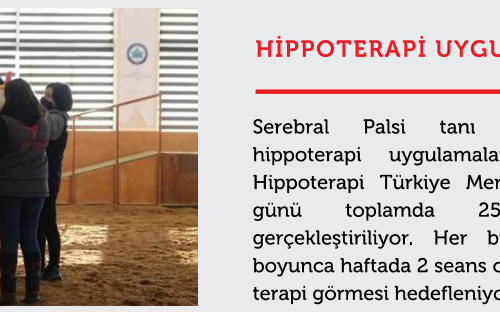 Hippoterapi Uygumaları