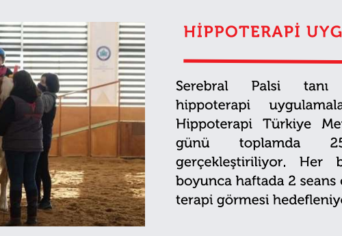 Hippoterapi Uygulamaları