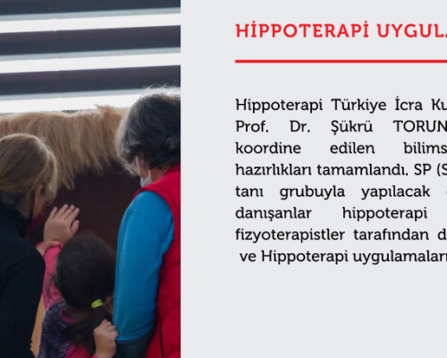 Hippoterapi Uygulamaları