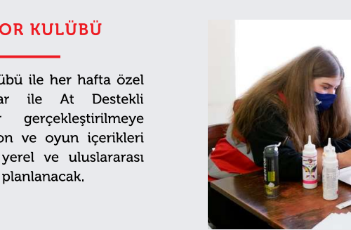 Şehir Otizm Spor Kulübü